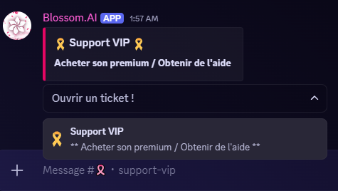 Ticket Support VIP Discord